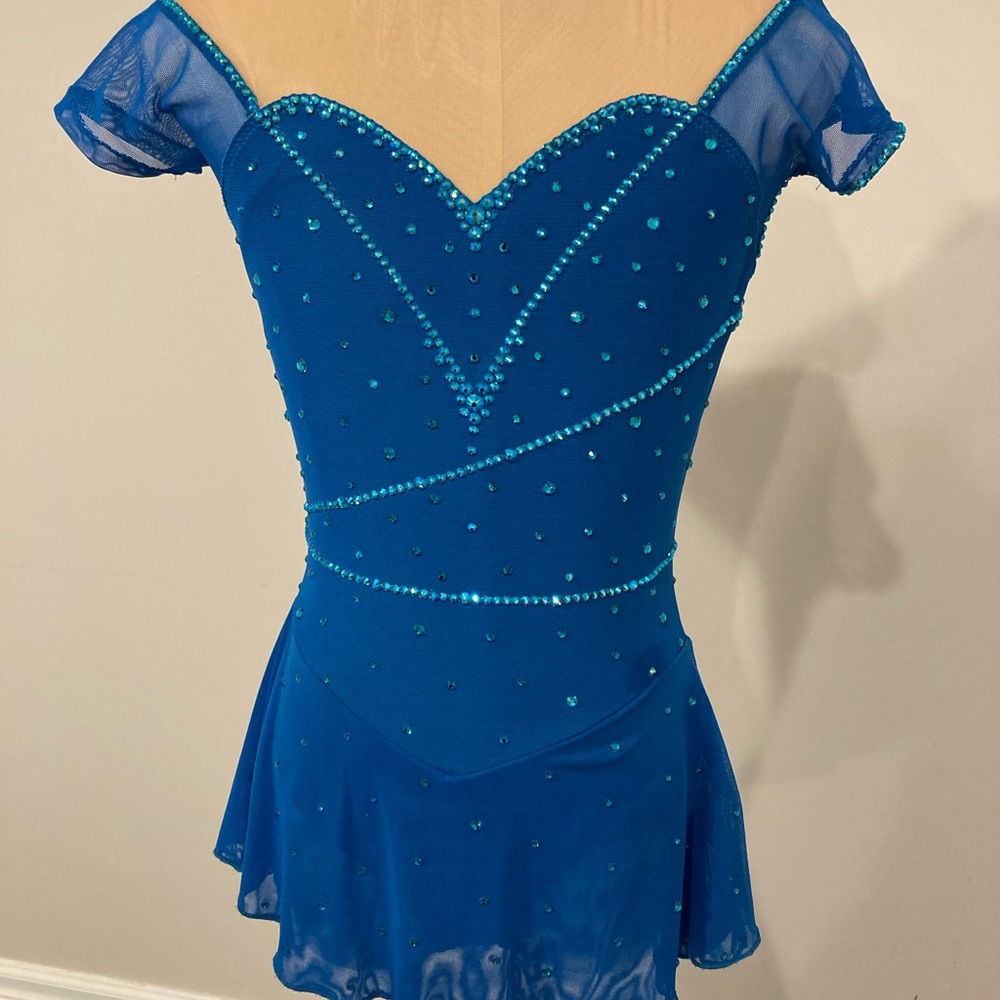 Brad Griffies child large figure skating dress in mallard